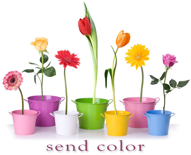 Maplehurst Florist delivers colorful flowers every day!