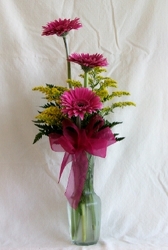Three Beautiful Gerberas
