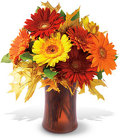 Autumn Gerbera from Maplehurst Florist, local flower shop in Essex Junction