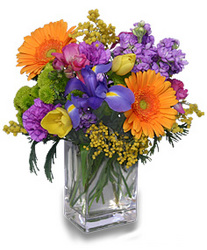 Celebrate the Day from Maplehurst Florist, local flower shop in Essex Junction