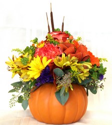 Pumpkin Pleasures (Click item for size and price choices) from Maplehurst Florist, local flower shop in Essex Junction