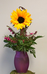 Sunshine Sunflower from Maplehurst Florist, local flower shop in Essex Junction