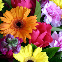 Romantic Elegance - Florist Choice from Maplehurst Florist, local flower shop in Essex Junction