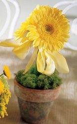 Yellow Gerbera Centerpiece from Maplehurst Florist, local flower shop in Essex Junction