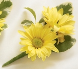 Daisy Boutonniere