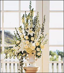 williston bride more limited williston bride more limited
