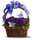 Violets and Butterflies from Maplehurst Florist, local flower shop in Essex Junction