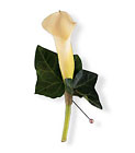Miniature Calla Boutonniere
