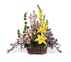 Spring Splendor from Maplehurst Florist, local flower shop in Essex Junction