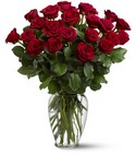 Two Dozen Roses from Maplehurst Florist, local flower shop in Essex Junction