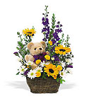 New Baby Basket & Bear from Maplehurst Florist, local flower shop in Essex Junction