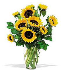 You Are My Sunshine from Maplehurst Florist, local flower shop in Essex Junction