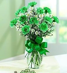 Green Carnation Vase from Maplehurst Florist, local flower shop in Essex Junction