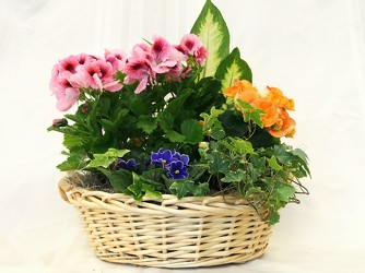 Summer Delight from Maplehurst Florist, local flower shop in Essex Junction