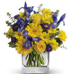 Blue and Gold from Maplehurst Florist, local flower shop in Essex Junction