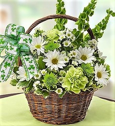 Irish Basket from Maplehurst Florist, local flower shop in Essex Junction