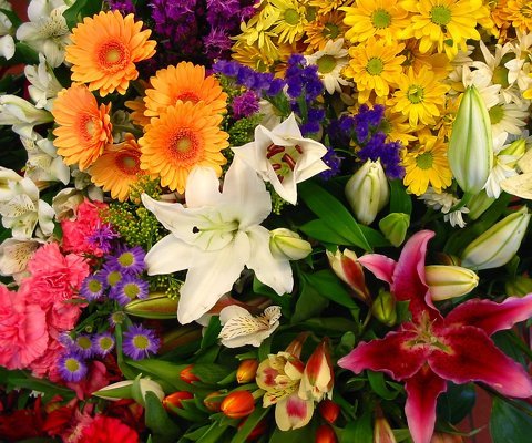 Deal Of The Day Bouquet - Lily's Florist