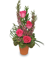 Thanks For All You Do from Maplehurst Florist, local flower shop in Essex Junction