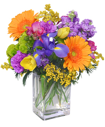 Celebrate the Day from Maplehurst Florist, local flower shop in Essex Junction