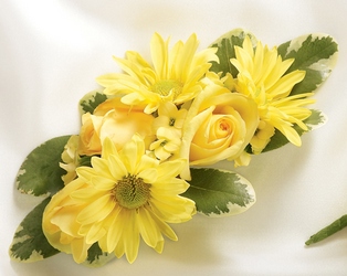 Daisy and Rose Corsage from Maplehurst Florist, local flower shop in Essex Junction