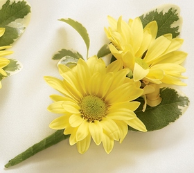 Daisy Boutonniere from Maplehurst Florist, local flower shop in Essex Junction