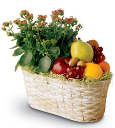 Fruits & Flowers from Maplehurst Florist, local flower shop in Essex Junction