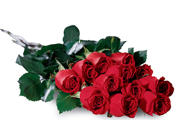 Image result for dozen roses