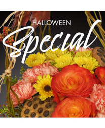 Designers Choice for Halloween from Maplehurst Florist, local flower shop in Essex Junction