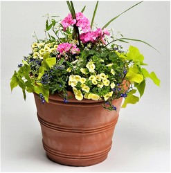 Patio Planter from Maplehurst Florist, local flower shop in Essex Junction