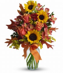 Warm Embrace from Maplehurst Florist, local flower shop in Essex Junction