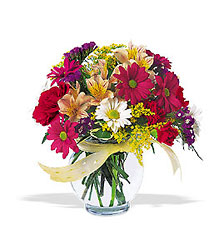 Joyful from Maplehurst Florist, local flower shop in Essex Junction