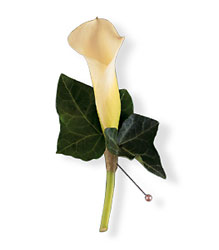 Miniature Calla Boutonniere from Maplehurst Florist, local flower shop in Essex Junction