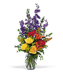 Colorful Sensation from Maplehurst Florist, local flower shop in Essex Junction