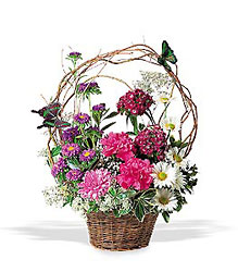 Spring Butterflies from Maplehurst Florist, local flower shop in Essex Junction