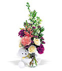 New Baby Bear from Maplehurst Florist, local flower shop in Essex Junction