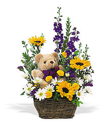 New Baby Basket & Bear from Maplehurst Florist, local flower shop in Essex Junction