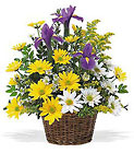 Vermont Meadow Basket from Maplehurst Florist, local flower shop in Essex Junction