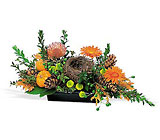 Visions of Autumn Centerpiece from Maplehurst Florist, local flower shop in Essex Junction