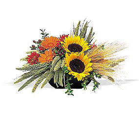 Sunflower Harvest from Maplehurst Florist, local flower shop in Essex Junction