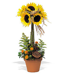 Sunflower Topiary from Maplehurst Florist, local flower shop in Essex Junction